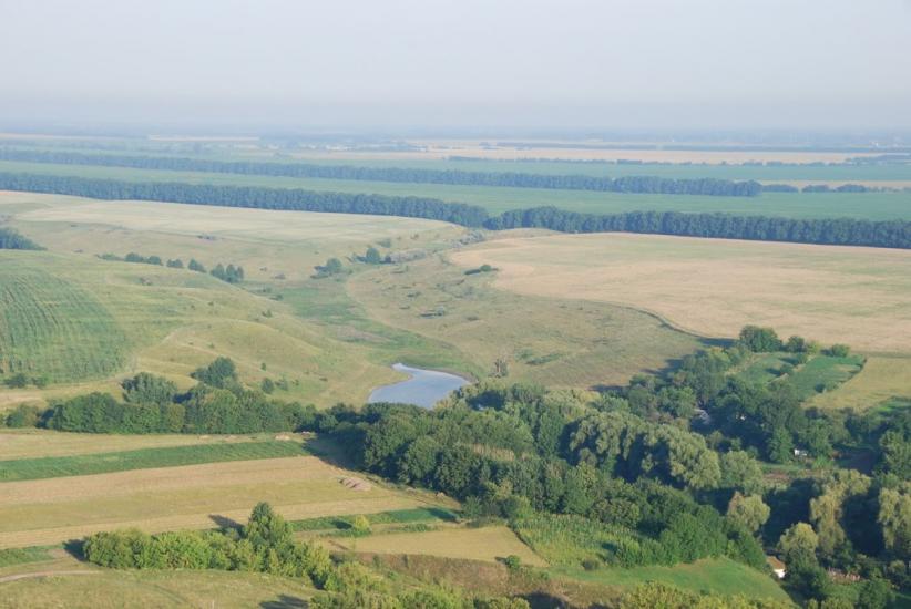 Генплан села Тростинка Киевской области заказали без объявления тендера
