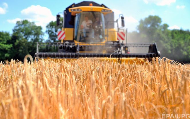 Первый миллион тонн зерновых собрали на Киевщине