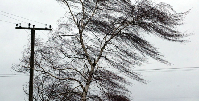 Из-за непогоды на Киевщине без электричества остались 32 населенных пункта