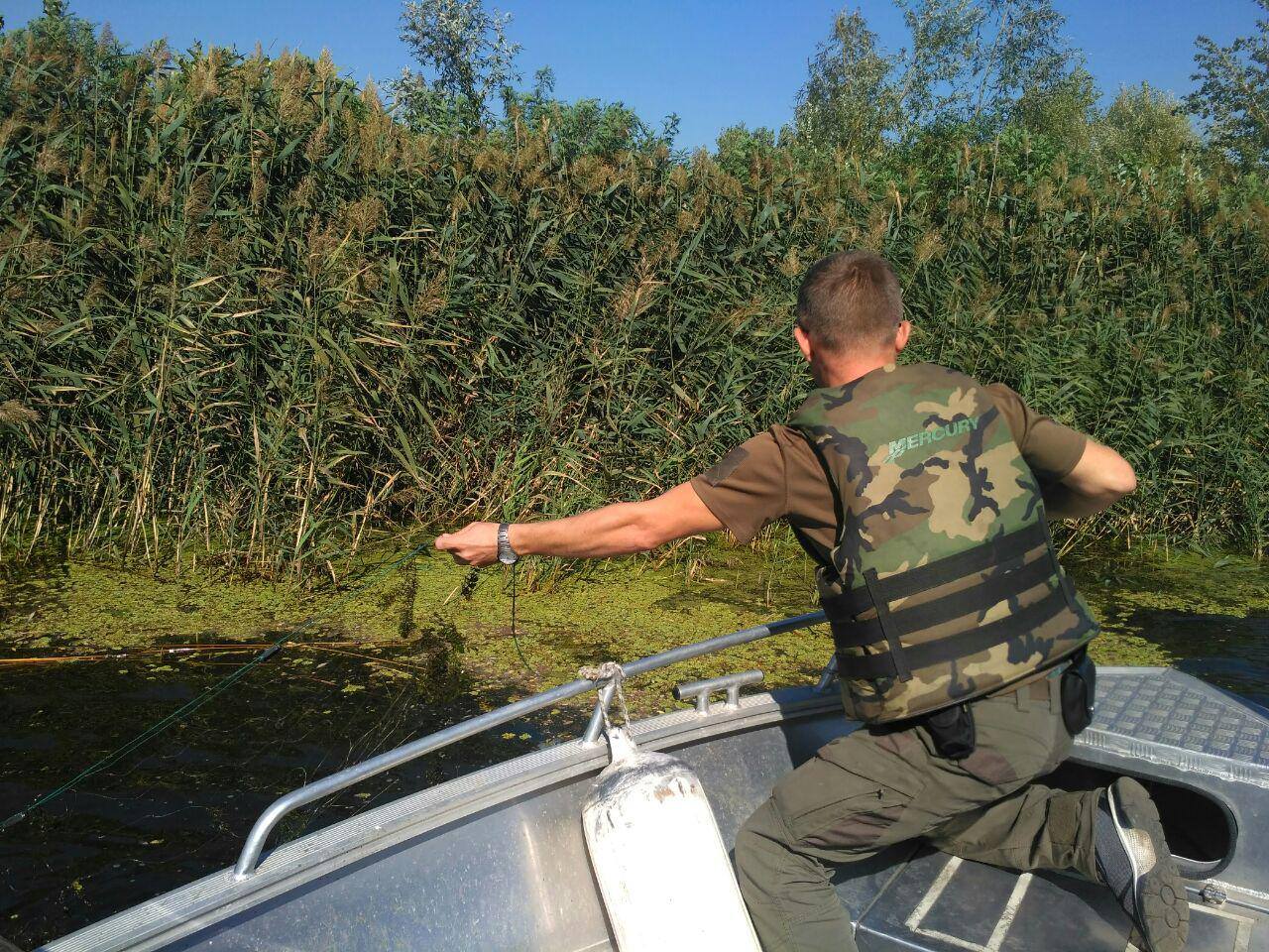 За неделю Киевский рыбоохранный патруль зафиксировал 85 нарушений (фото)