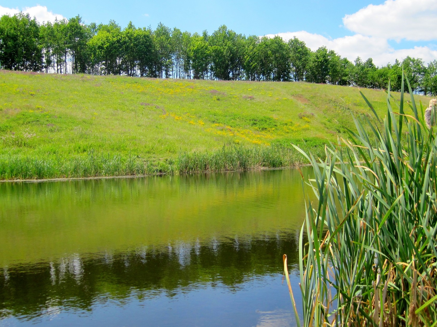 Суд вернул государству 20 га земли водного фонда на 24 млн гривен в Броварском районе Киевщины