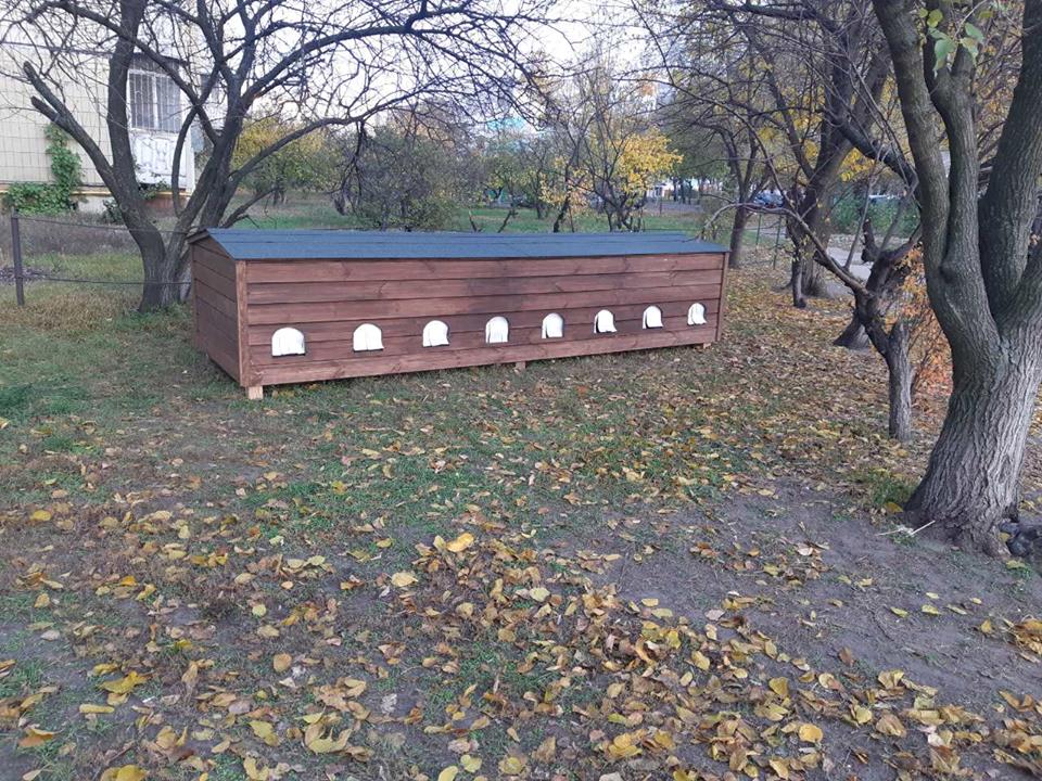 Жители Дарницкого района Киева построили коттедж для бездомных котов (фото)