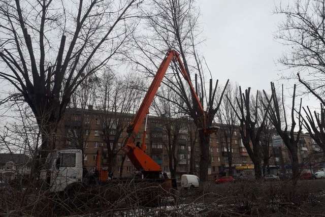 “Киевзеленстрой” обрезает кроны деревьев, чтобы избежать аварий и травмирования киевлян