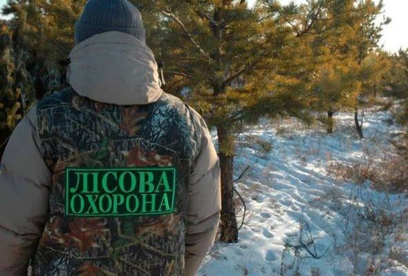 Елки в лесу под Киевом будет охранять мобильный патруль (фото)
