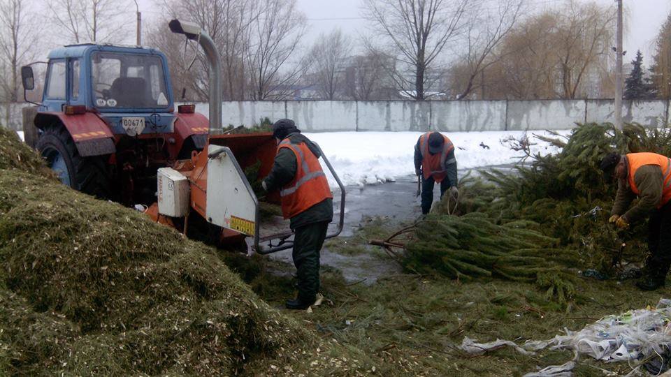 В Киеве заработал пункт приема и переработки новогодних елок