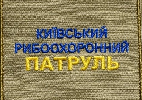 Киевский рыбоохранный патруль обнаружил замор рыбы в Бородянском районе (видео)