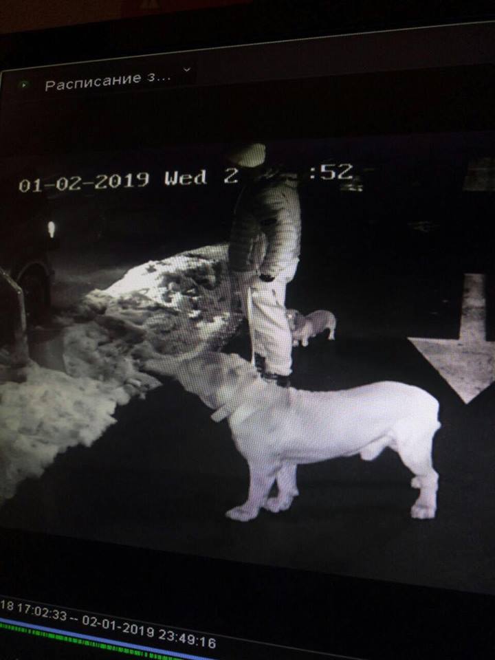 Полиция Киева разыскивает подозреваемого в убийстве мужчины на Печерске (фото, видео)