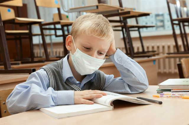 Из-за гриппа в Киеве приостановлен образовательный процесс в 36 школах