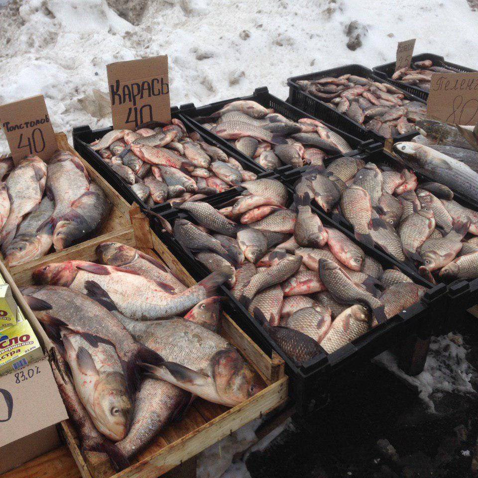 Киевский рыбоохранный патруль за неделю зафиксировал 29 правонарушений (фото)