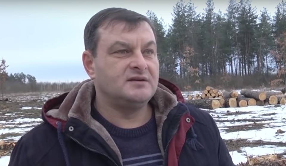 На Фастовщине активисты выявили сомнительную вырубку деревьев (видео)