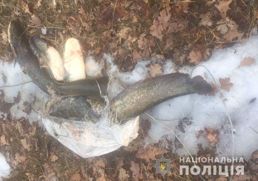 В Чернобыльской зоне задержали рыбака с уловом сомов