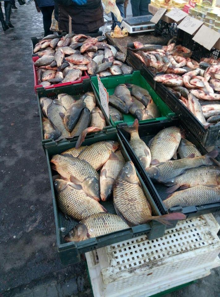 Киевский рыбоохранный патруль в феврале выявил 153 нарушения и изъял 456 кг рыбы