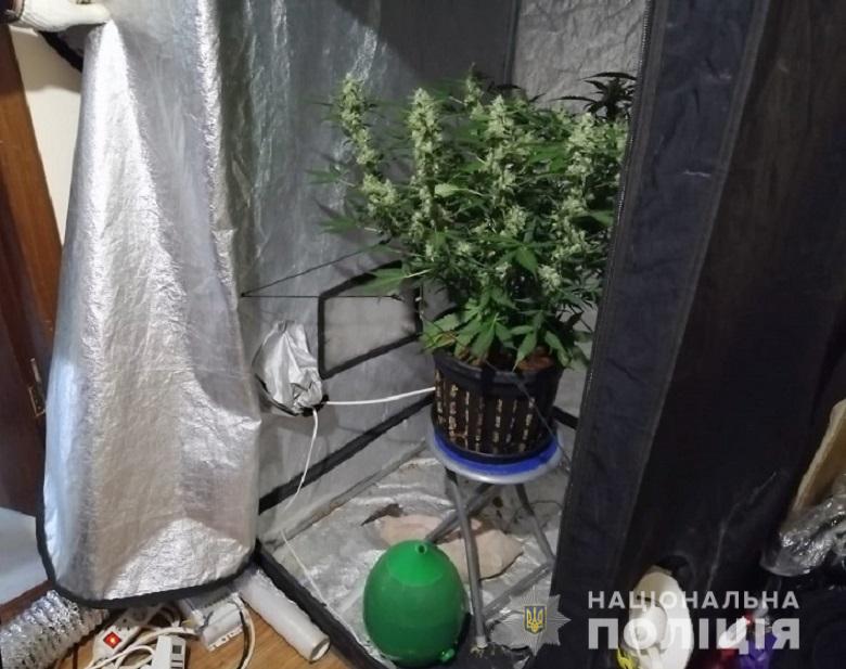 Киевлянин в собственной квартире оборудовал подпольную теплицу для выращивания конопли (фото)