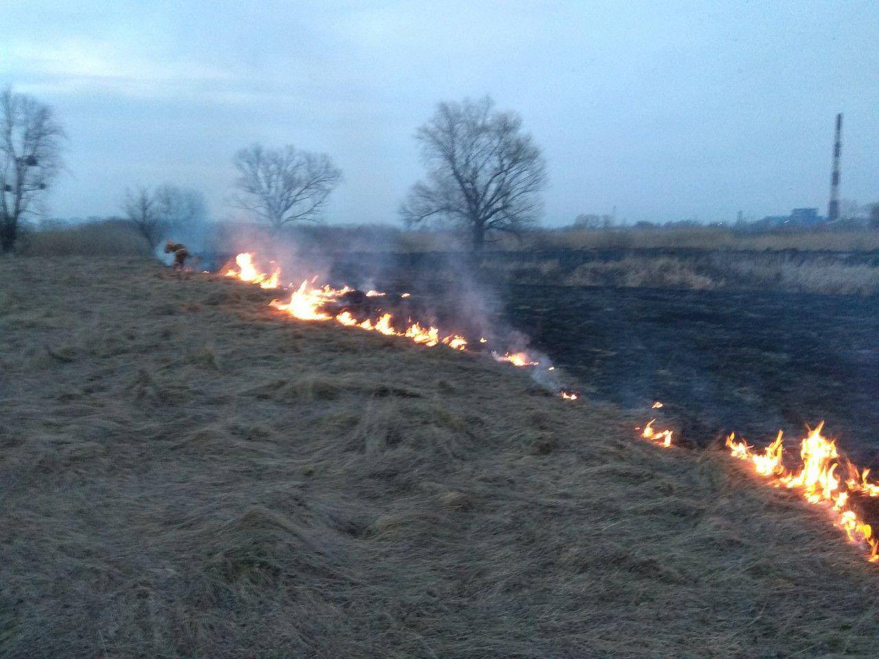 В Дарницком районе Киева горело 6 га травяного настила (фото)