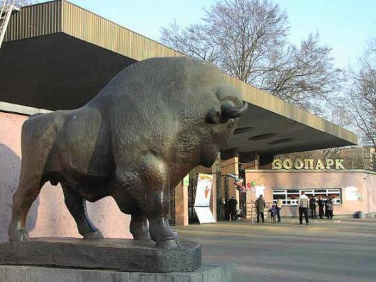 В Киевском зоопарке утверждают, что статуи бизона и львов пытались распилить на цветмет еще в октябре 2018 года