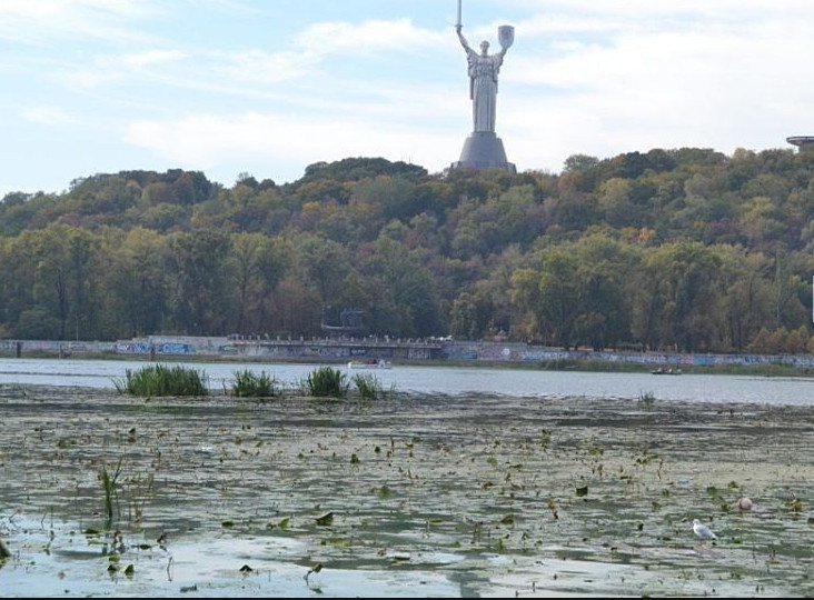 Киевляне просят столичные власти очистить воды Днепра возле моста Патона