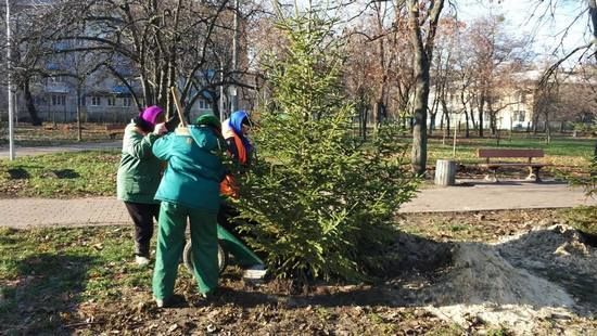 В “Киевзеленстрое” не хватает полутысячи озеленителей