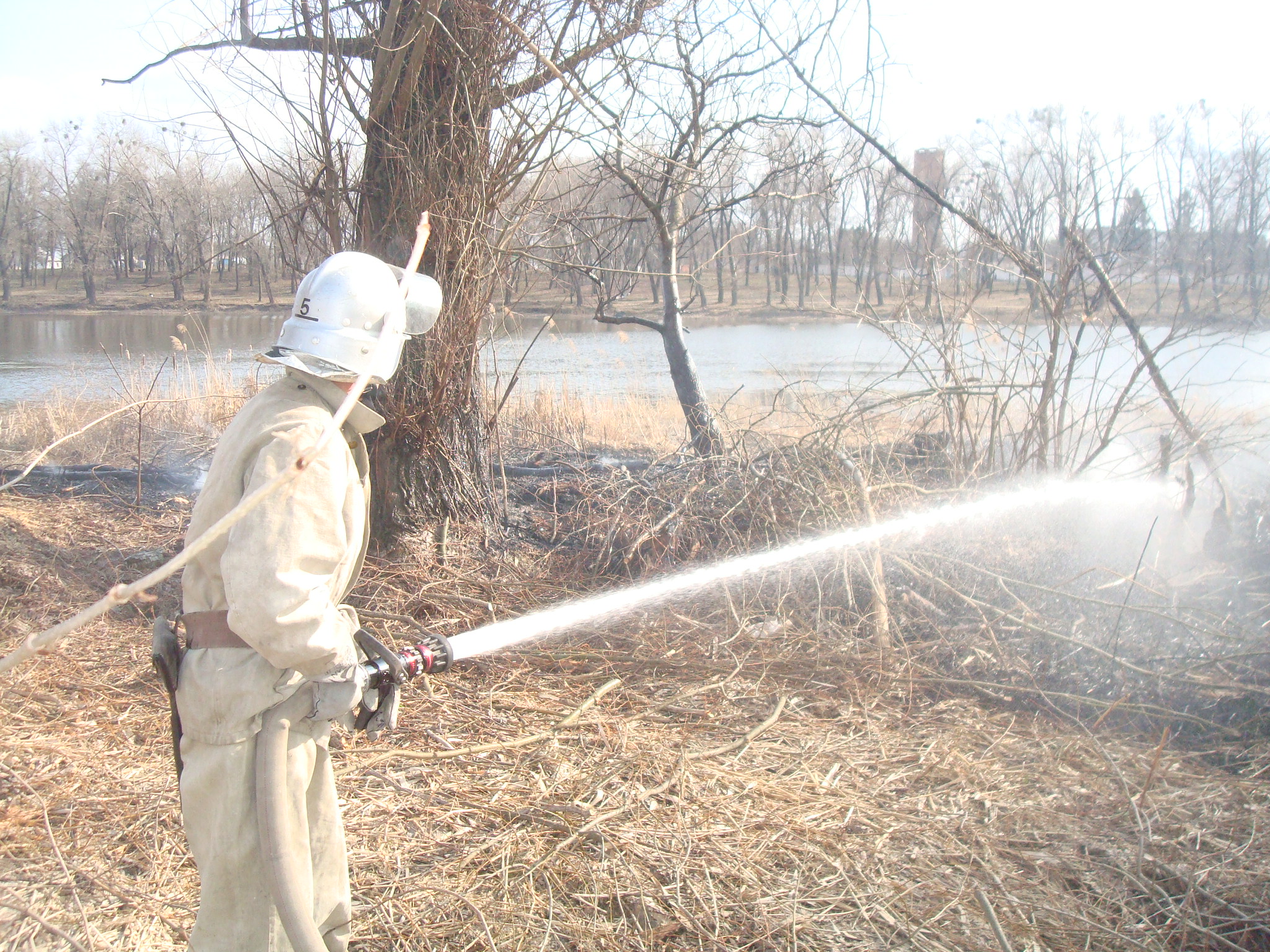 На Киевщине продолжаются пожары в экосистемах (фото)