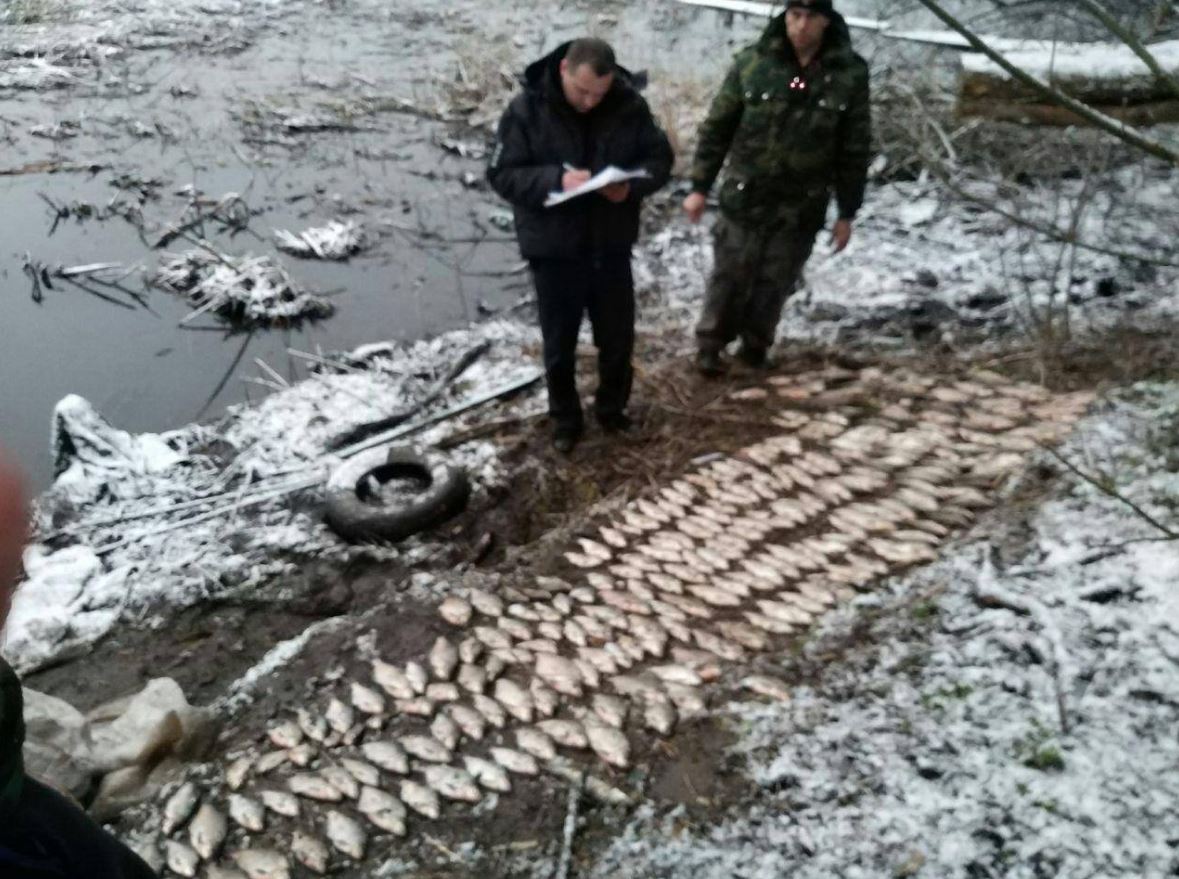 На Каневском водохранилище браконьеры с 38 кг рыбы сопротивлялись задержанию (фото)