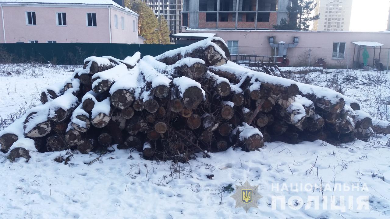 Более 200 деревьев без разрешения срезали двое мужчин в Ирпене на Киевщине - Нацполиция