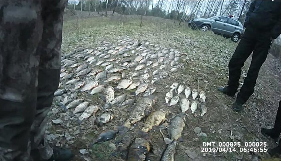 На берегу Каневского водохранилища задержали двоих нарушителей с 72 кг рыбы (фото)