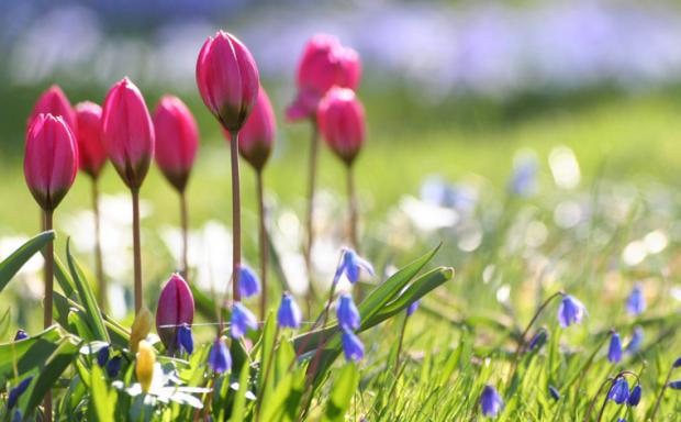 Погода в Киеве и Киевской области: 18 апреля 2019