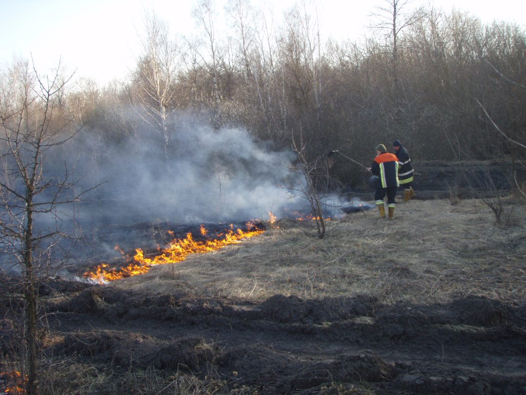 Высокая пожарная опасность ожидается в Киеве 9 и 10 марта