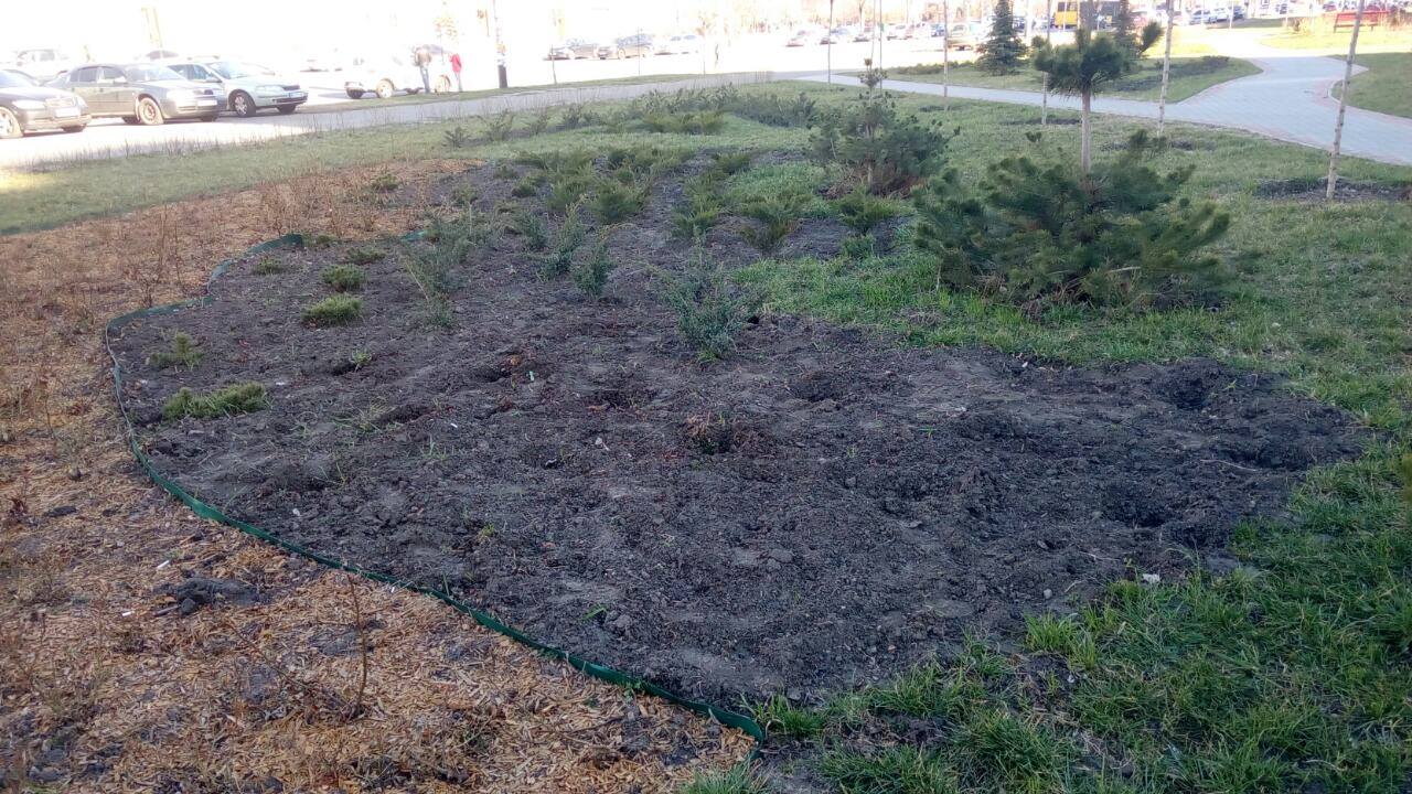 Из сквера в Деснянском районе Киева украли сотни кустов и деревьев (фото)