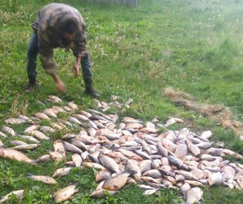 За неделю Киевский рыбоохранный патруль выявил 46 нарушений с ущербом 19,9 тыс. гривен (фото)