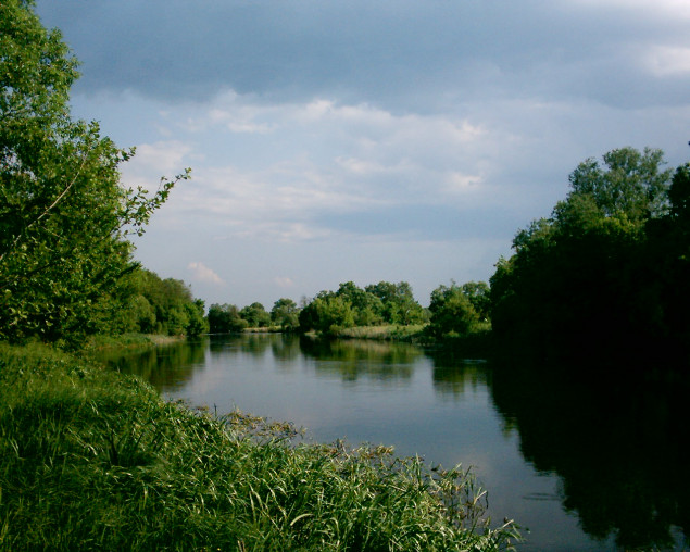 Попадание химикатов в реку Рось: экспресс-пробы 9 июня не показали загрязнений на границе с Киевской областью