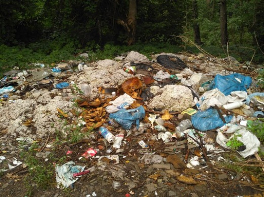 В Подольском районе Киева из-за отсутствия контейнеров для мусора появились стихийные свалки