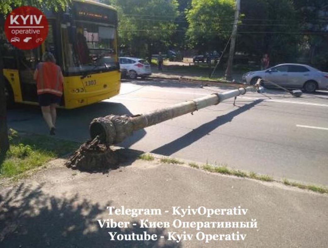 Упавший столб перегородил проезжую часть Голосеевского проспекта в столице (фото)
