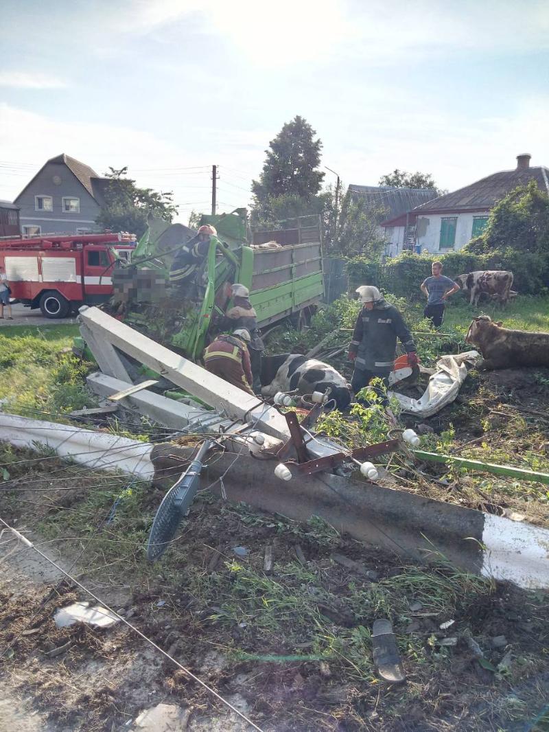 На Киевщине разбился грузовик с животными, водитель и пассажир погибли
