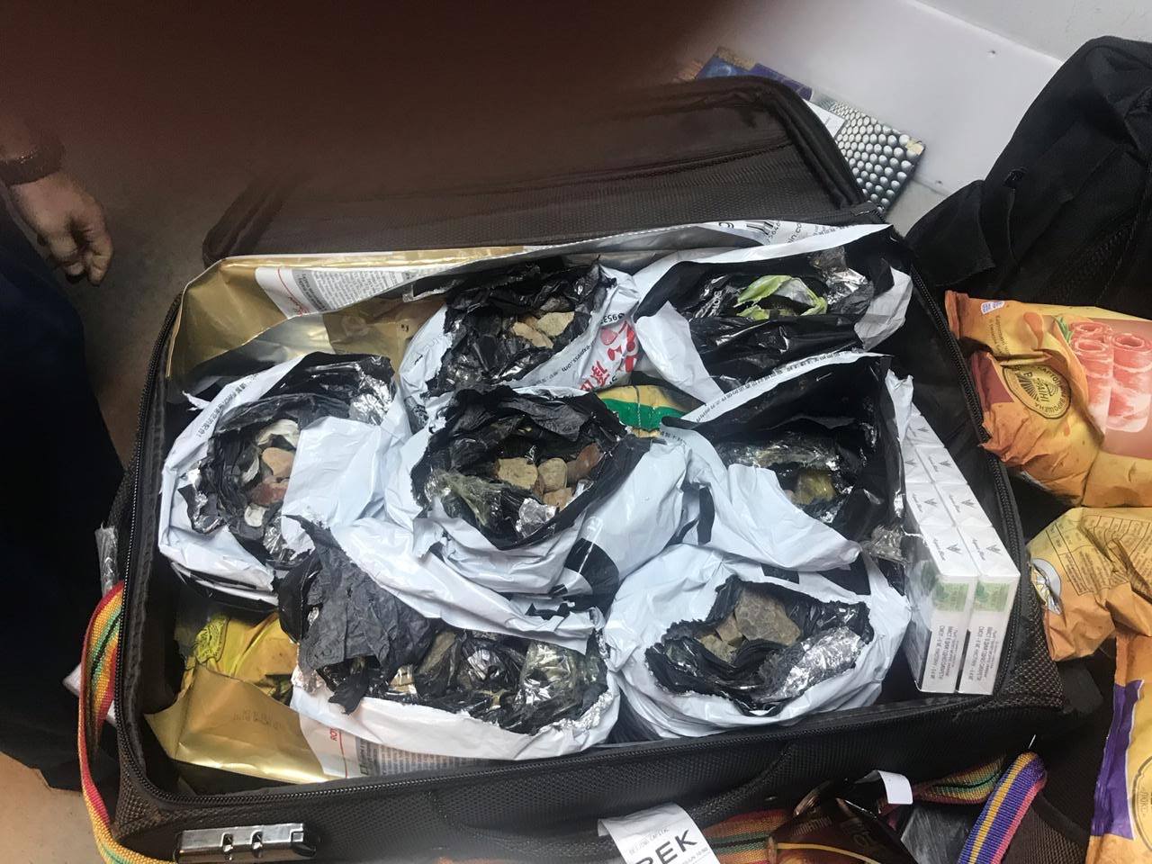 Таможенники Киевщины предотвратили вывоз из страны более 30 кг янтаря (фото)