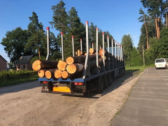 СБУ блокировала хищения древесины в ГП “Фастовский лесхоз” (фото)