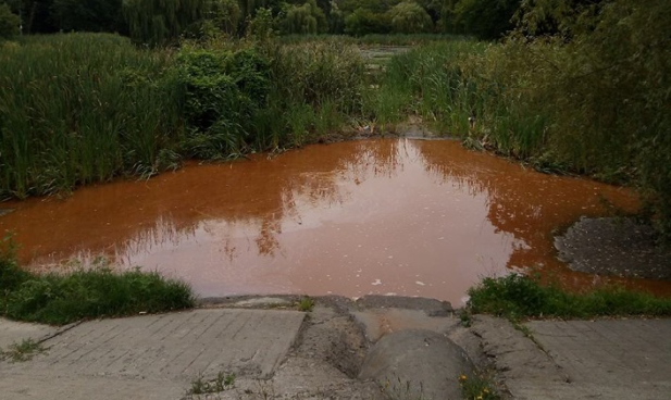 Озера в киевском парке Рыльского загрязнены неизвестным веществом (фото)