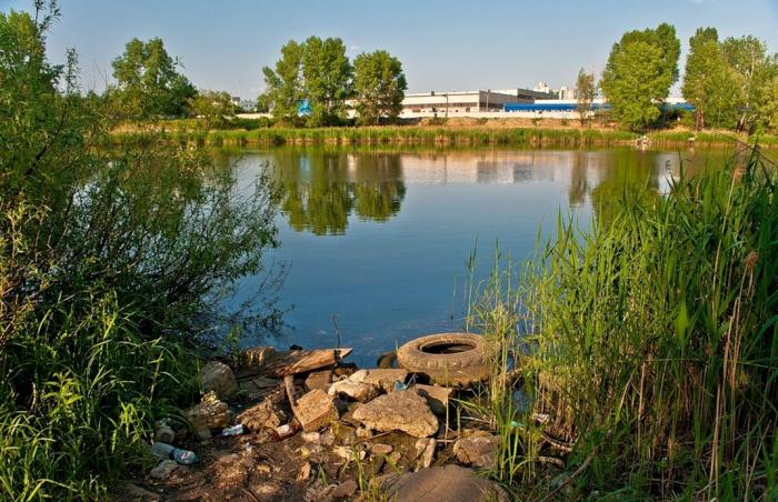 КП “Плесо” доверило реконструкцию ливнесточной канализации озера на Оболони фирме с уголовным шлейфом