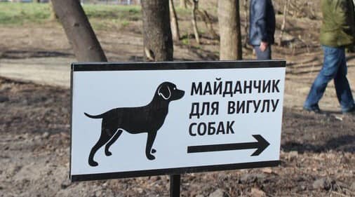 В Украинке выбирают место для выгула собак