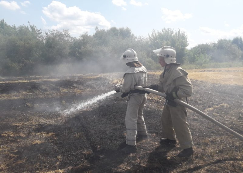 На Киевщине с 6 по 8 августа местами ожидается чрезвычайный уровень пожароопасности
