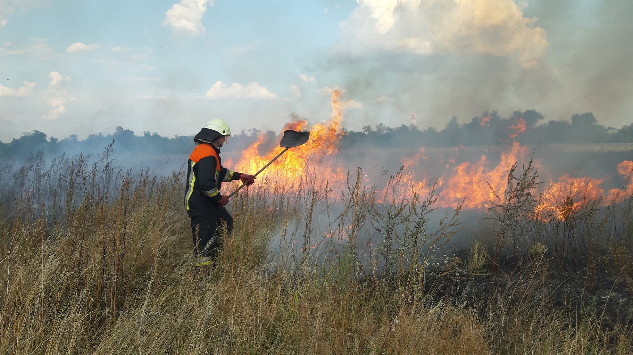 На прошедших выходных в экосистемах Киевщины произошли пожары на общей площади более 56 га