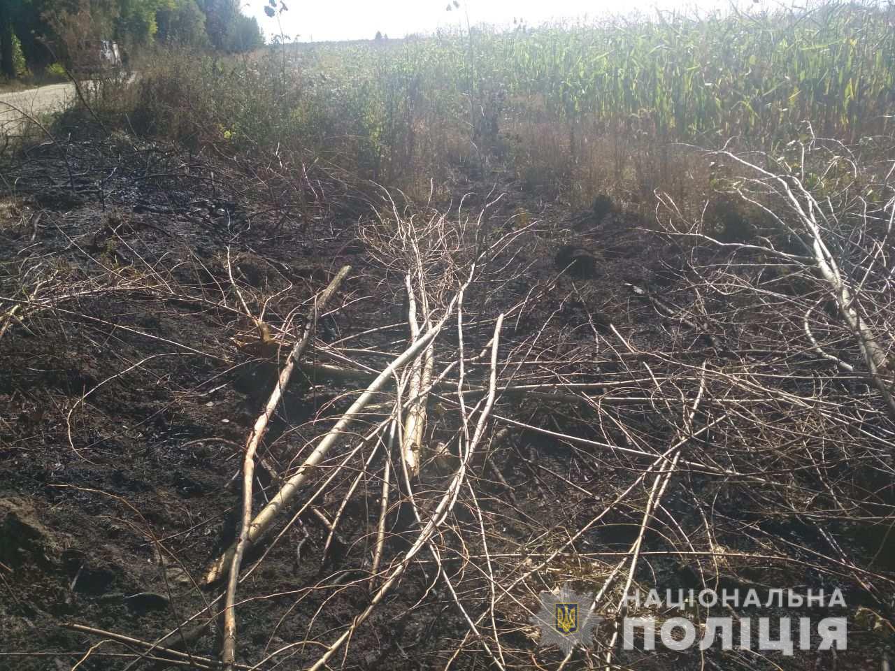 Из-за возгорания сухой травы на Киевщине погибли два человека