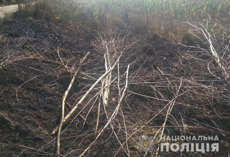 В воскресенье на Киевщине было зафиксировано 68 пожаров на общей площади 71 га
