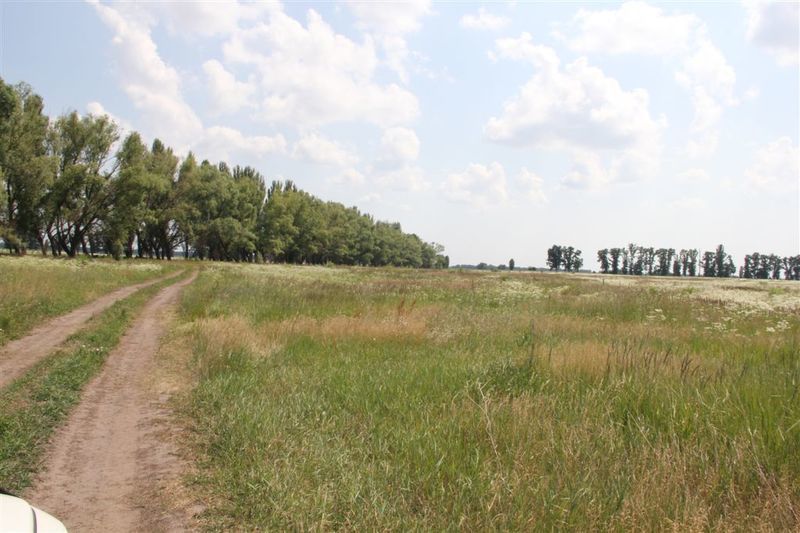 Вышгородская компания разработает проект землеустройства для села Залесье