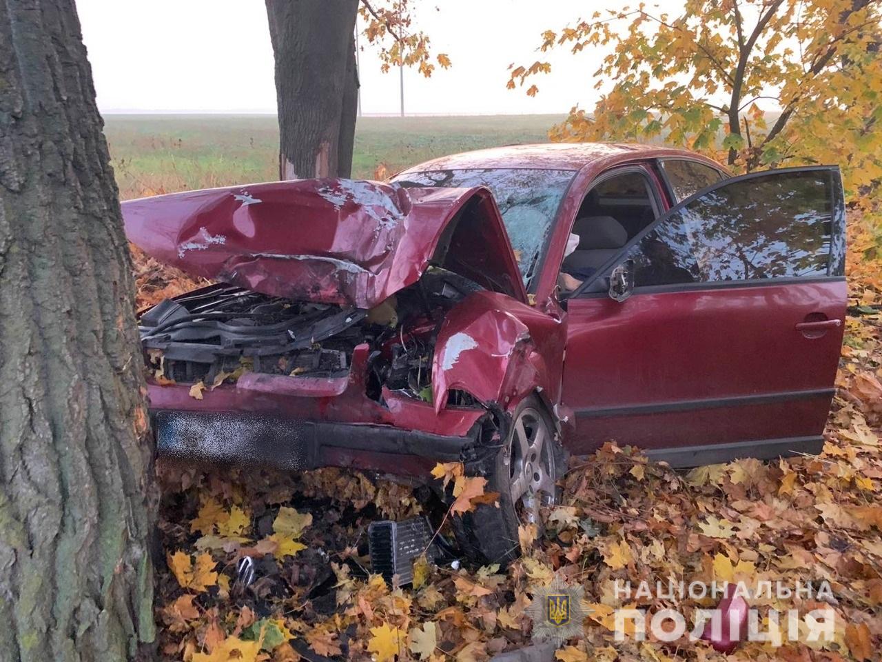 На Киевщине в ДТП погибли 2 человека (фото)