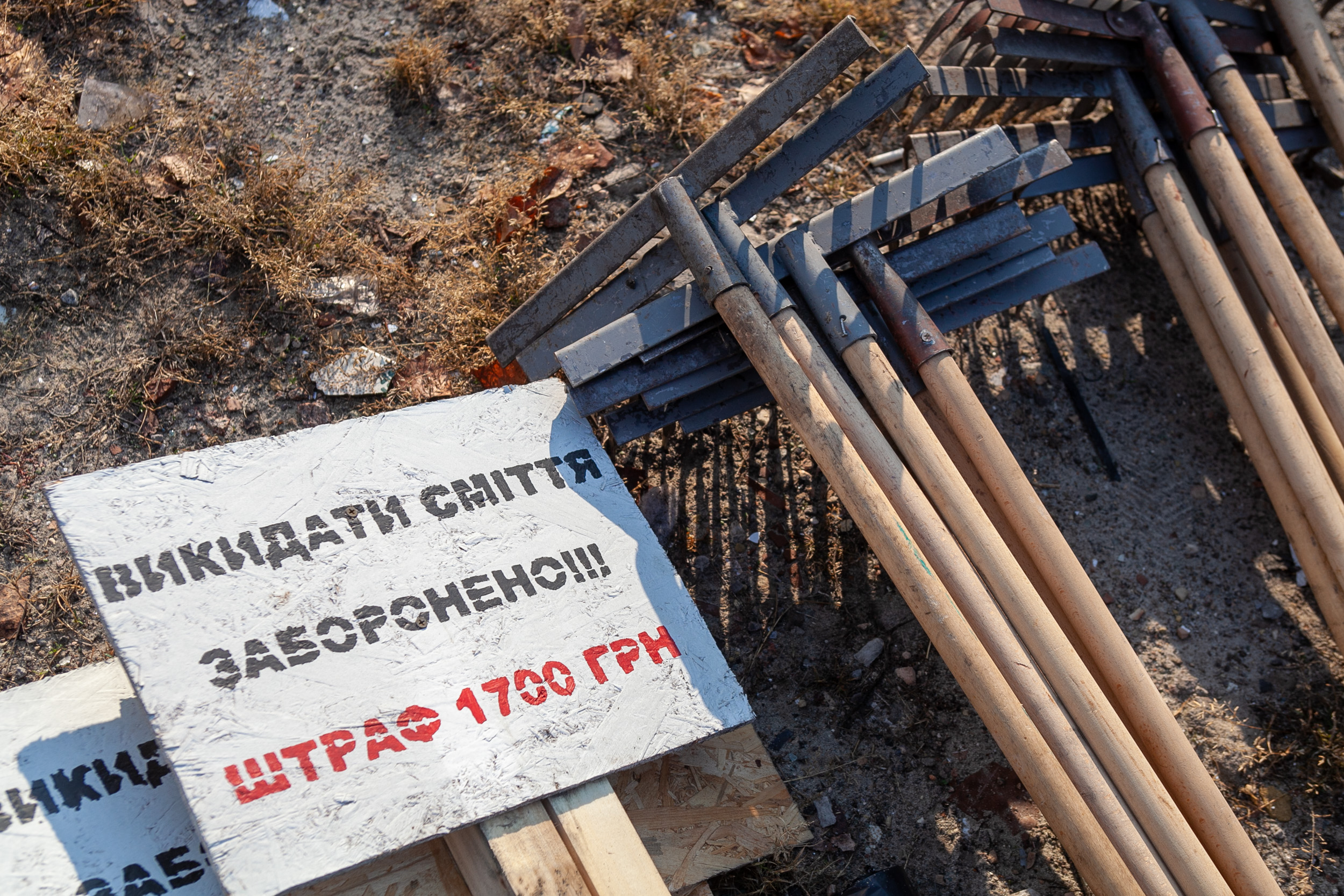 Во время субботних толок киевляне высадили около 3 тысяч деревьев и кустов (фото)