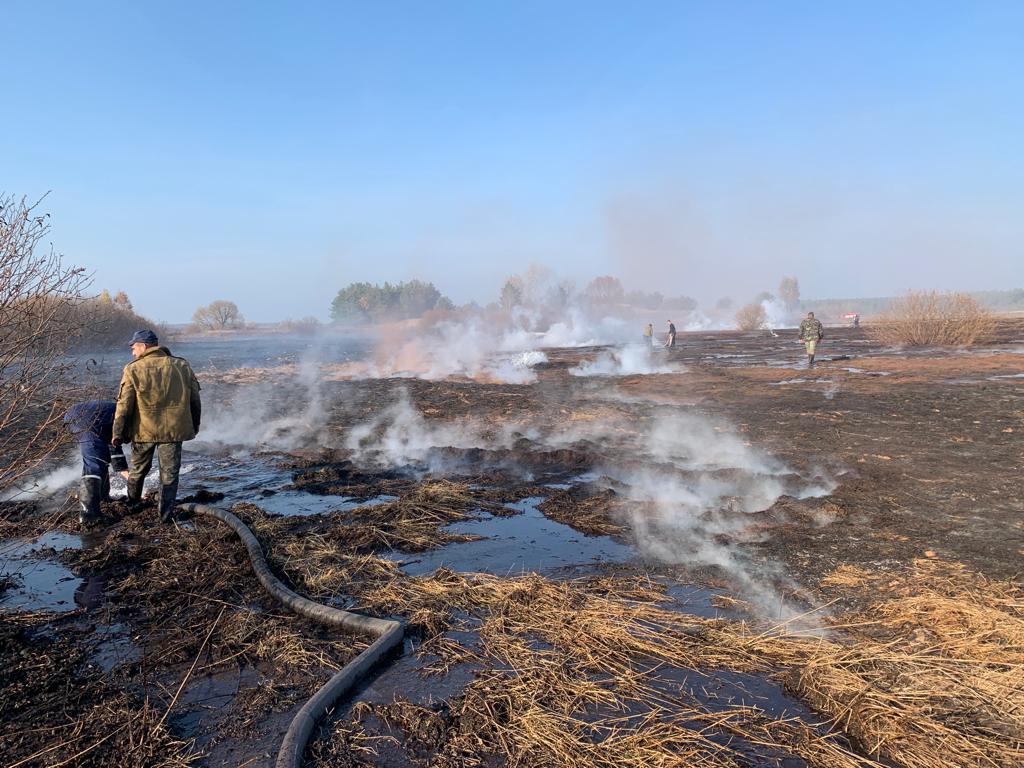 На Киевщине спасатели вторые сутки пытаются погасить горящие торфяники (фото)