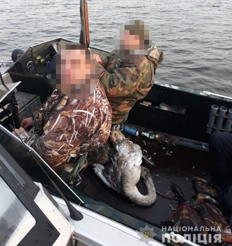 На Киевщине правоохранители задержали пьяных браконьеров с убитым лебедем (фото)