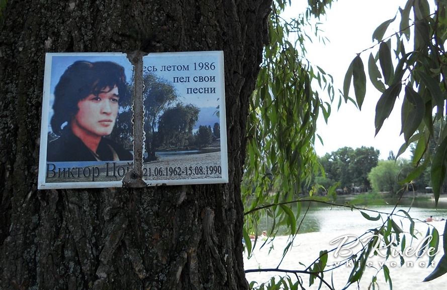 В Киеве может появиться памятник “Дерево Виктора Цоя”