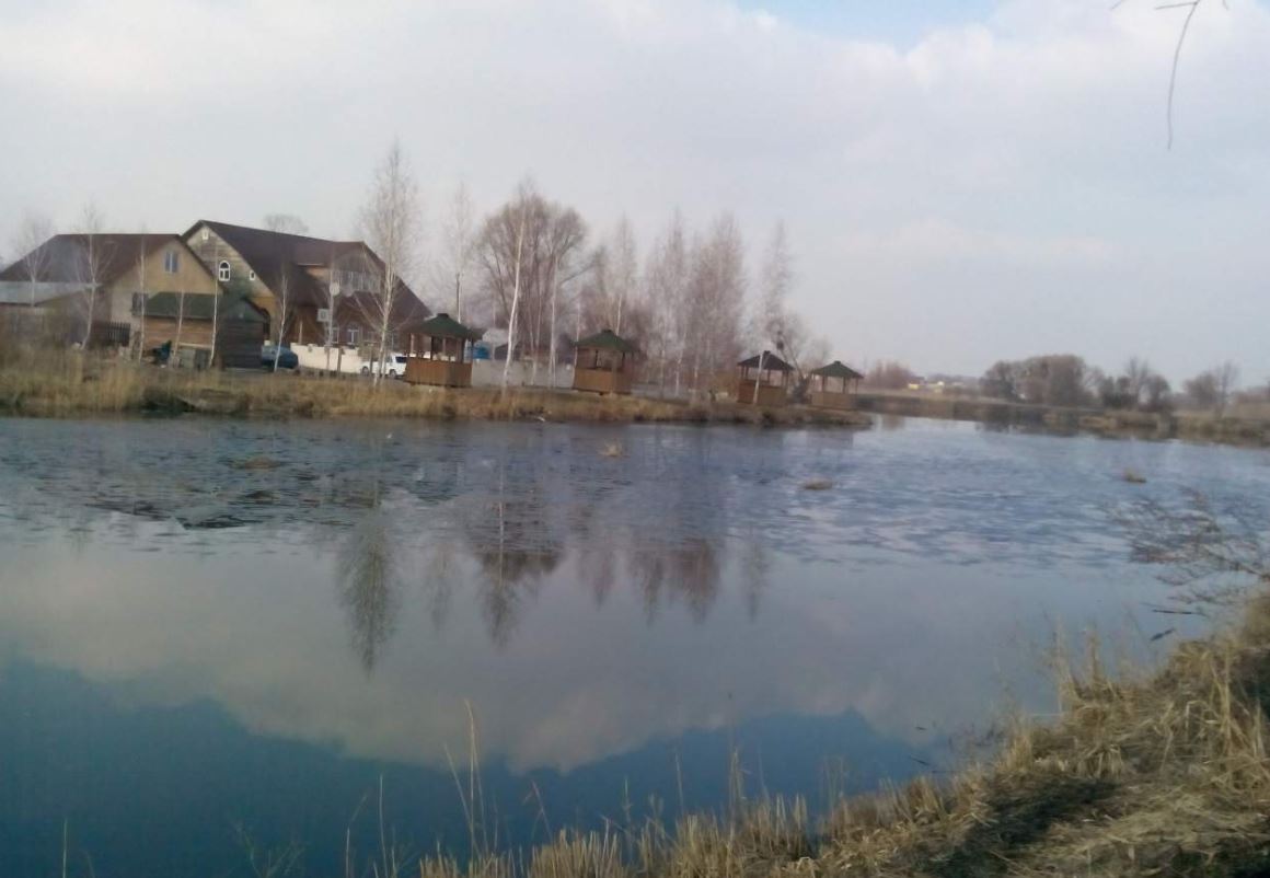 В селах Глубокое и Копылов на Киевщине должны расчистить водоемы