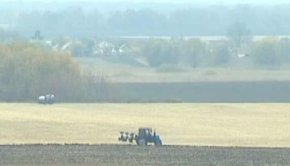 На Васильковщине в сельхозкооперативе в селе Ольшанская Новоселица разразился рейдерский скандал (видео)